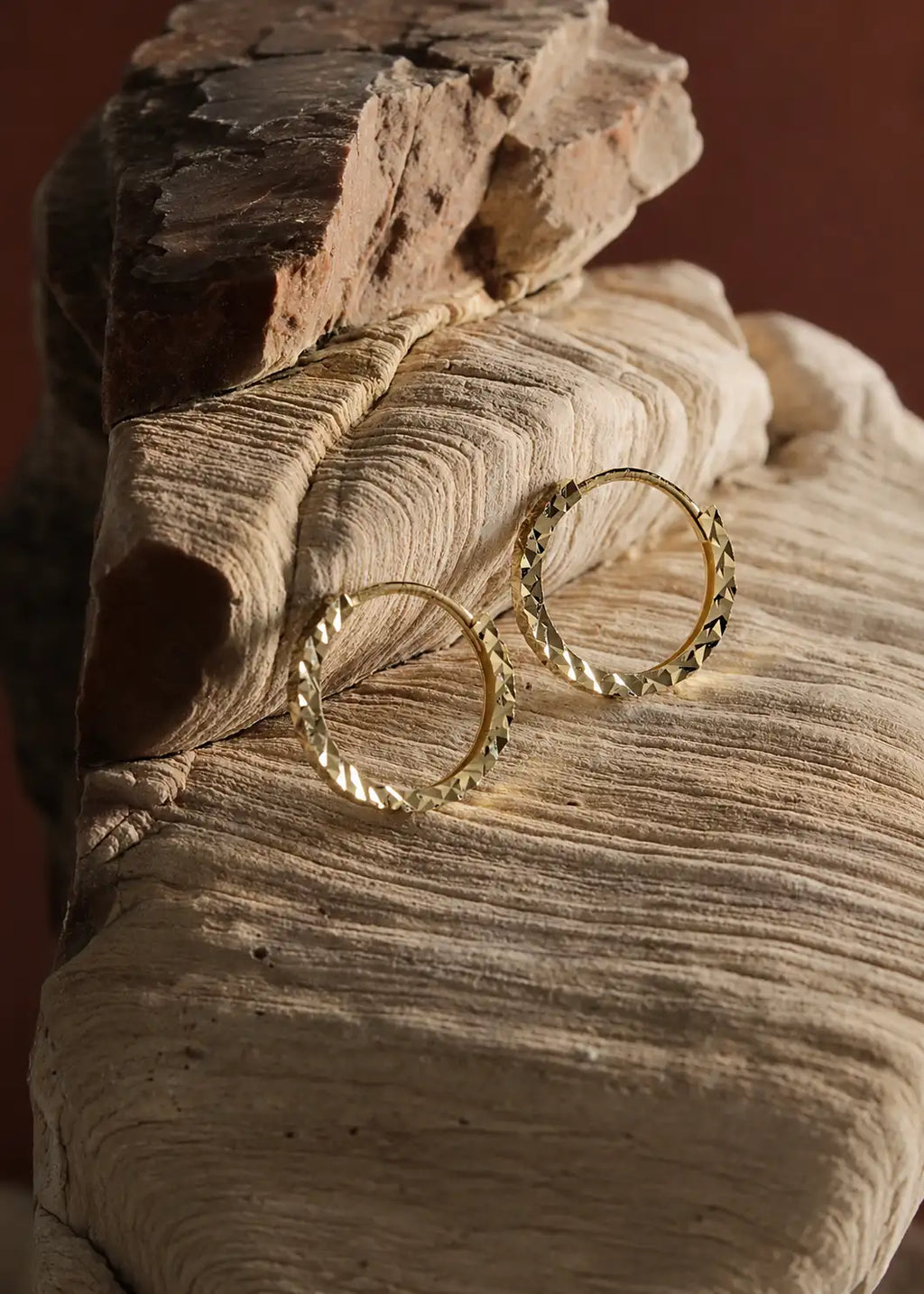 A pair of textured gold hoop earrings resting on a piece of weathered driftwood against a warm brown background.