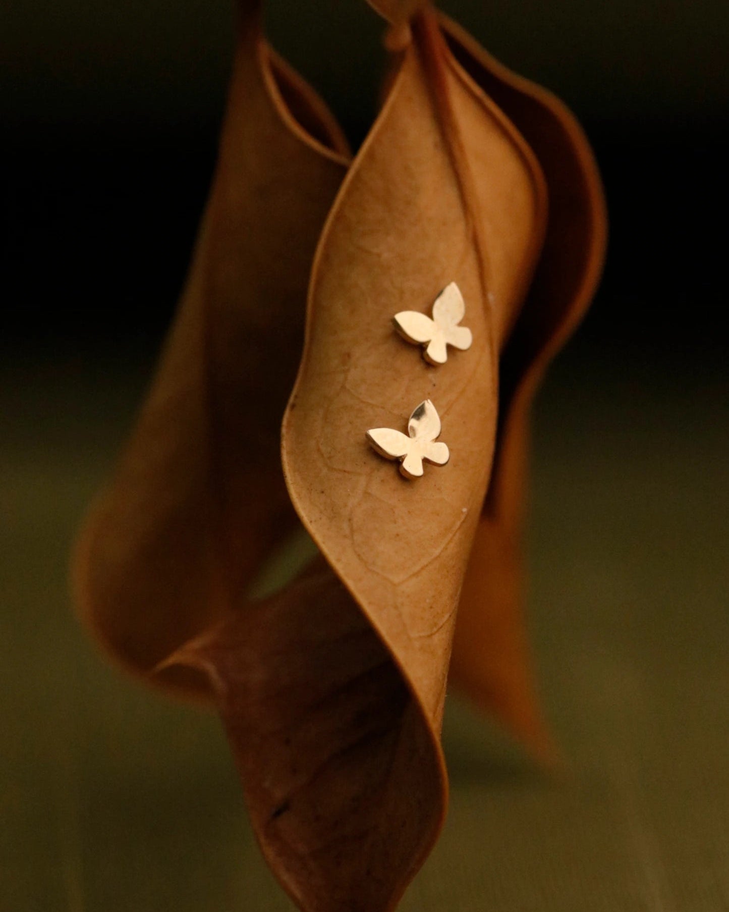 Butterfly-shaped earrings on a brown leaf against a dark background