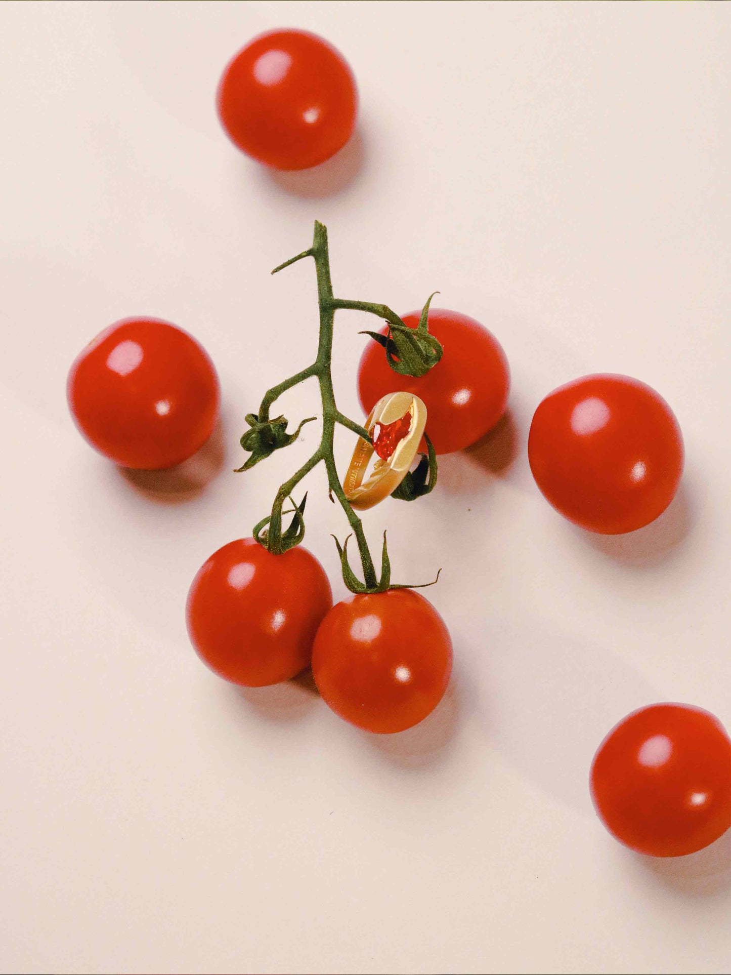 Cherry tomatoes on a branch with a plain background