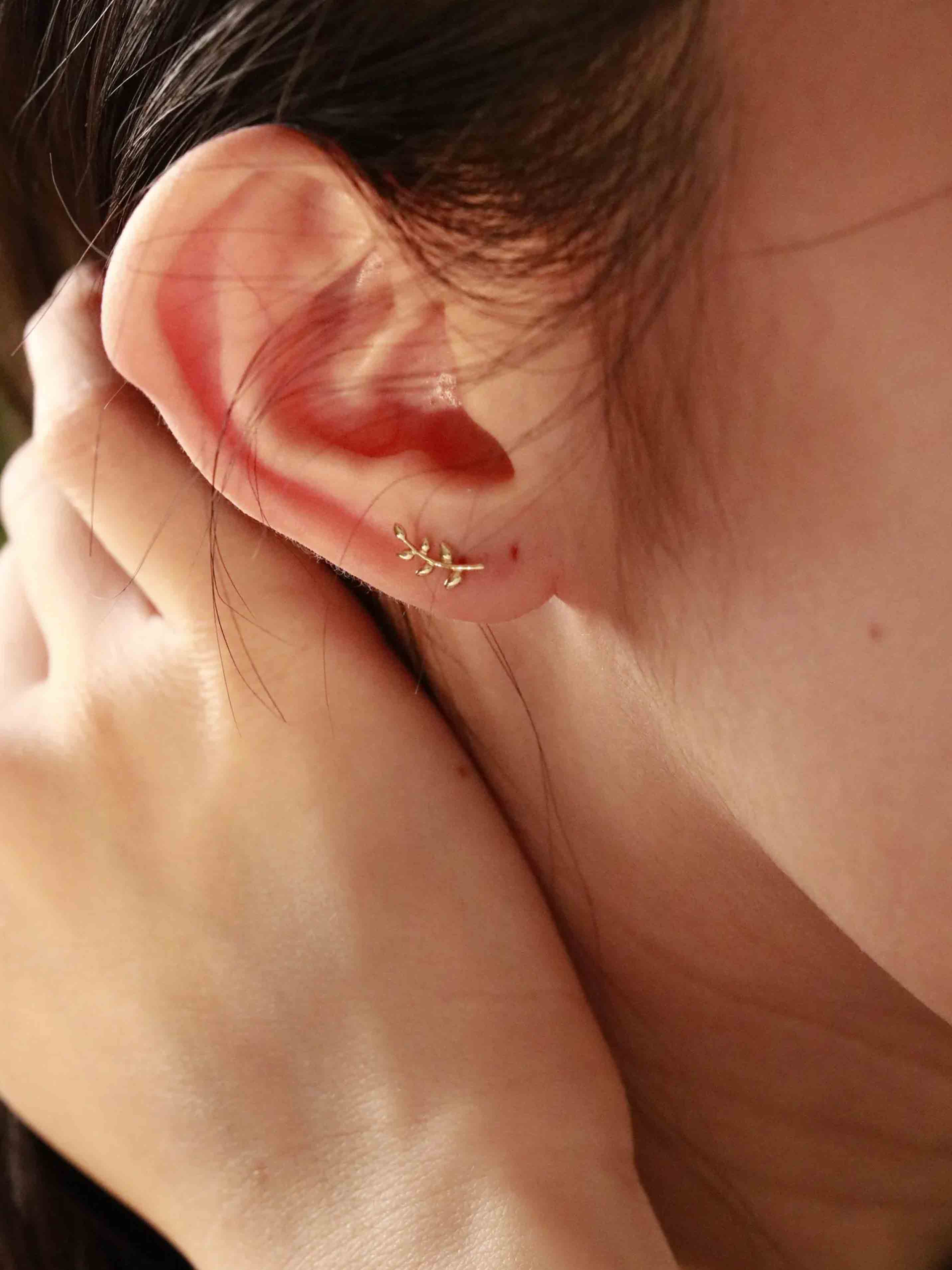 Olive Branch Stud Earrings in Solid Gold