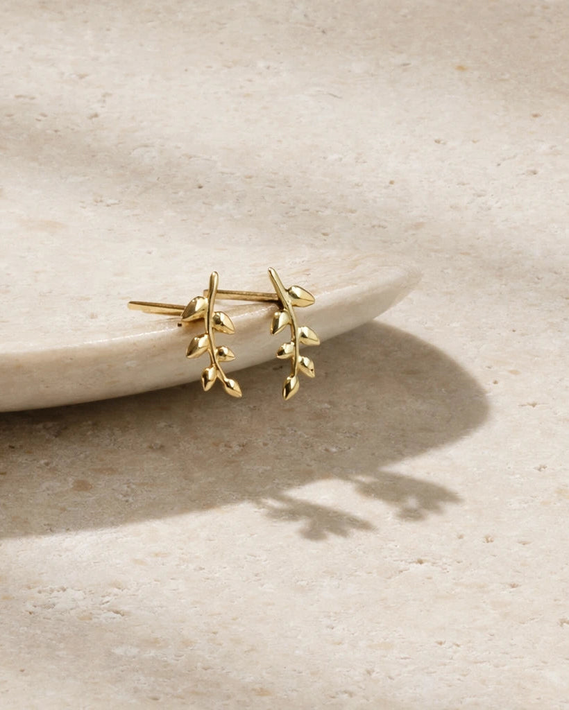 Olive Branch Stud Earrings in Solid Gold