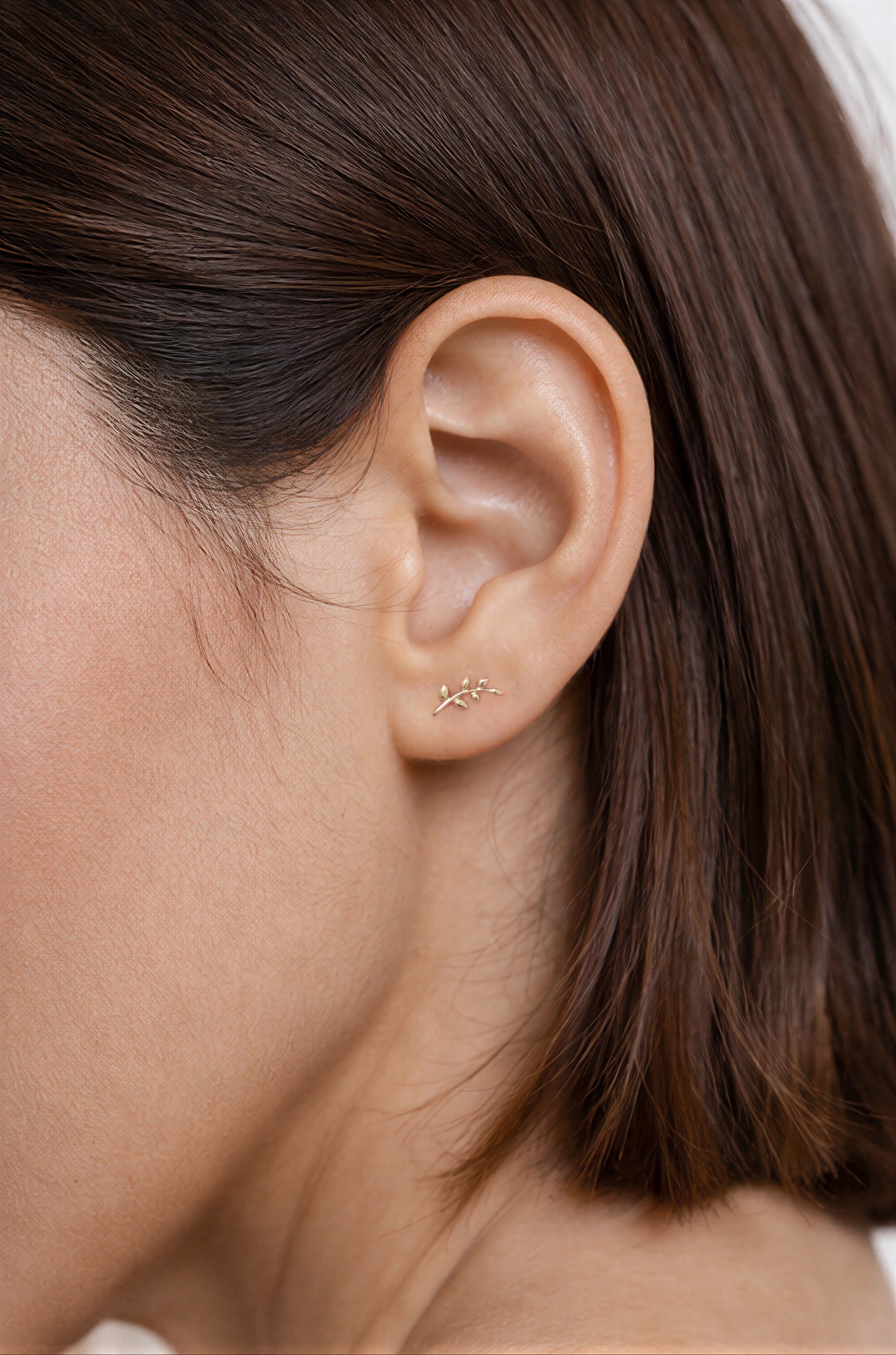 Olive Branch Stud Earrings in Solid Gold
